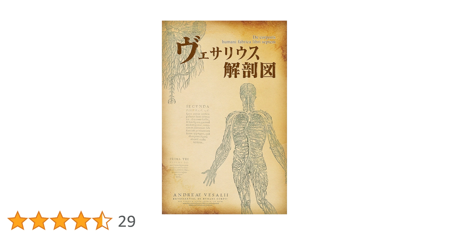 アンドレアス・ヴェザリウス　人体構造論　解説付き　古書　講談社　アンティーク アンドレアス・ヴェザリウス 人体構造論 解説付き 古書 講談社